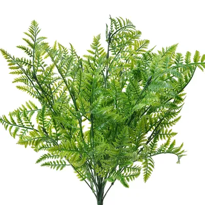 Immagine prodotto di Pianta artificiale Clayre & Eef 56 cm plastica verde