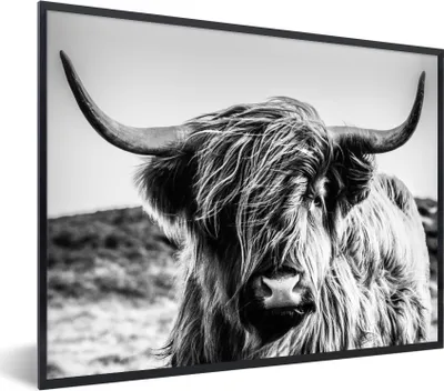 Produktbild von MuchoWow® Gerahmtes Poster Kuh - Schottischer Hochländer - Schwarz - Weiß - Tier - Natur - Wildtiere 80x60 cm - Poster mit Schwarzem Bilderrahmen Wandposter Rahmen Foto Bilder - Schwarzem - Mit Gestell