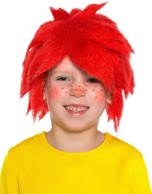 Produktbild von Pumuckl Kinderperücke - Kostümperücke für Fasching
