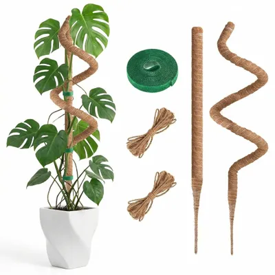 Produktbild von Monstera-Pflanzenstütze – 100 cm – Set mit 2 Stück