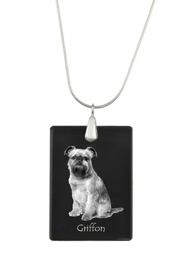 Produktbild von Brüsseler Griffon, Griffon Bruxellois - Kristallanhänger mit Hund, Silberhalskette mit Foto, personalisierter Anhänger der Marke Art-Dog