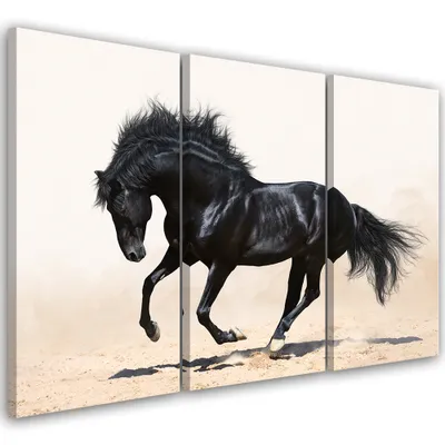 Produktbild von Triptychon auf leinwand tiere - schwarz 120x80 cm Feeby beige wandbild bereit zum aufhängen