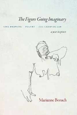 Produktbild von Die imaginäre Gestalt