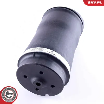 Image de Suspension pneumatique ESEN SKV, châssis référence x 58SKV025