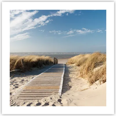 Produktbild von Poster - Poster ohne Rahmen - Strand Meer Fußgängerbrücke Ufer - 50x50 cm - Wand Bild - Wanddeko - Wandbilder - Kunstposter - Wandposter - Bilder - Kunstdruck - Wandbild - P2XAC50x50-2657