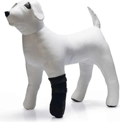 Produktbild von Beeztees Pfotenschutz für Hunde aus Neopren schwarz S 2Stk