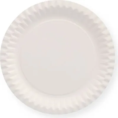 Produktbild von Pappteller Weiß Rund Ø 23 cm, 100 Stück, unbeschichtet