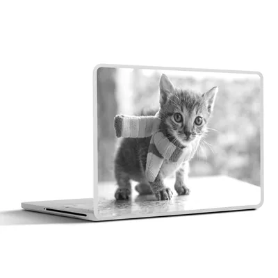 Produktbild von MuchoWow® Laptop Aufkleber Sticker Cover Kätzchen - Halstuch - Farben - Mädchen - Kinder - Kinder - Kind 36.5x27.5 cm - Laptop-Sticker