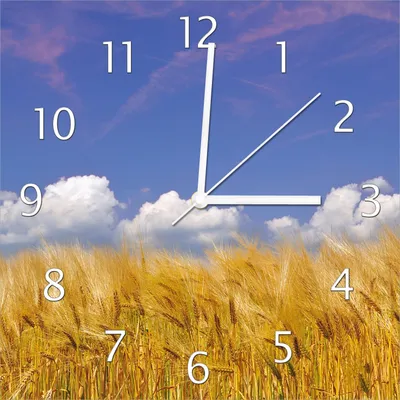Produktbild von Wallario Design Wanduhr Kornfeld unter blauem Himmel aus Echtglas, Größe 30 x 30 cm