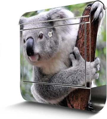 Produktbild von Edelstahl Briefkasten mit Zeitungsfach Koala großer Design Postkasten rostfrei, A4 Einwurf [BKGE2 10224]