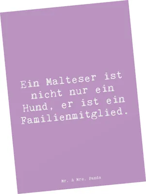 Produktbild von Mr. & Mrs. Panda Grußkarte Spruch Malteser Liebe - Lavendeltraum - Geschenk, Eigenschaften, Hund, Hunderassen, Ansichtskarten, Beschreibung, Ansichtskarte, Postkarte