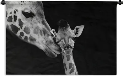 Produktbild von MuchoWow® Wandteppich Wandbehang Tiere - Schwarz - Weiß - Giraffe - Porträt 150x100 cm Tapisserie Dekoration Wandtuch - Waschbar - Tapisserien - Wand-Decke