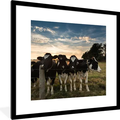 Produktbild von MuchoWow® Gerahmtes Poster Tiere - Kuh 40x40 cm - Poster mit Schwarzem Bilderrahmen Wandposter Rahmen Foto Bilder - Poster - Plakat im Rahmen