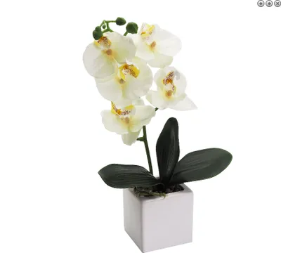 Produktbild von Orchideen im Keramiktopf Kunstblumen