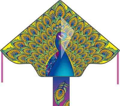 Zdjęcie produktu dla Kinderdrachen HQ Simple Flyer 120 Peacock 102149 Grün 120 x 75 cm + 150 cm ogon