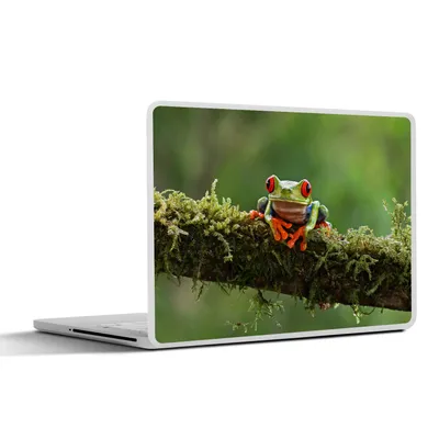 Produktbild von MuchoWow® Laptop Aufkleber Sticker Cover Rotäugiger Quecksilberfrosch auf bewachsenem Ast 31x22.5 cm - Laptop-Deko