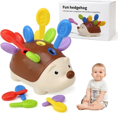 Image de Jouets sensoriels Montessori pour bébés de 18 mois - Jeu de tri pour développer la motricité fine, avec un hérisson. Activité éducative