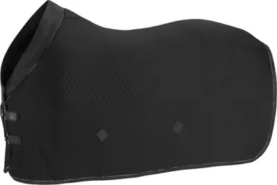 Produktbild von Platinum Abschwitzdecke Aerial Jersey 290 black XL/155