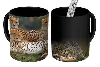 Obrázek produktu pro MuchoWow® Kouzelný pohár Tři gepardi na savaně 350 ml Barva měnící se pohár Dárkový nápad - foto hrnek