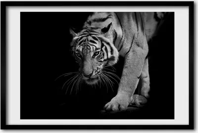 Produktbild von Bild 60x40 MDF-Rahmen, Wandkunst Tiger