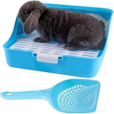 Produktbild von Famanu Katzenklo Ecktoilette für kleine Tiere - mit Schaufel für Meerschweinchen, Frettchen und Ratten