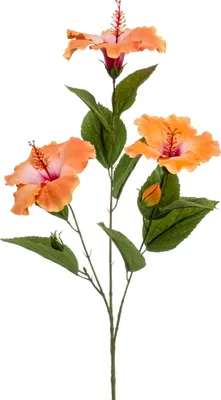 Produktbild von künstlicher Hibiskuszweig mit 3 Blüten orange H. 82cm Emerald Kunstblumen