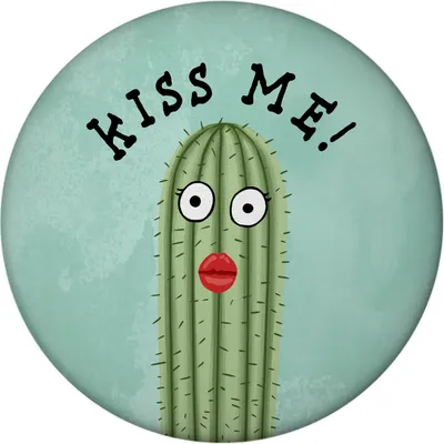Produktbild von Kiss me Kaktus Magnet rund