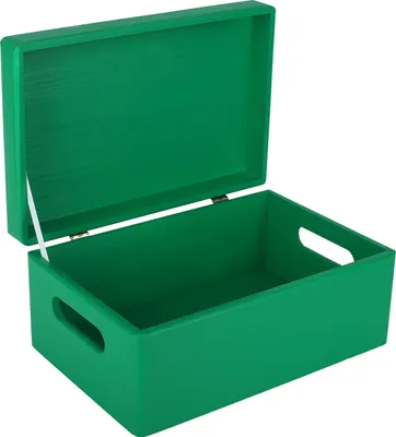 Image de Creative Deco Boite de Rangement en Bois Vert 30 x 20 x 14 cm (+/-1cm)