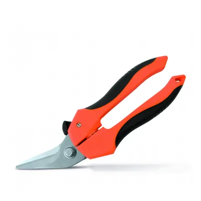 Image de EDMA 074555, 200 g