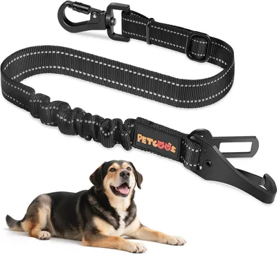 Produktbild von Autosicherheitsgurt für Hunde, verstellbar, schwarz, für Auto