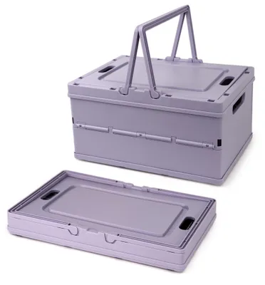 Image de Boîtes de rangement pliables avec couvercle et poignées - Lot de 2