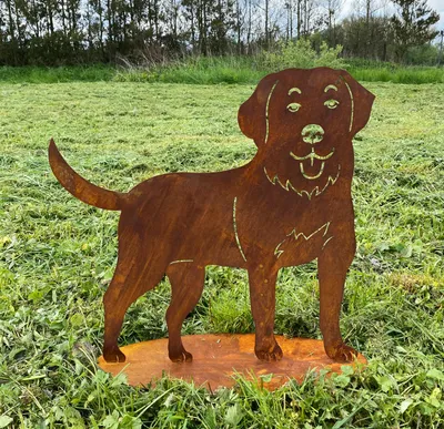 Produktbild von Edelrost Hund Bernhardiner 60x60cm auf Platte Edelrost Gartendeko Gartenfigur Wetterfest Rost Metall Rostfigur Hund Tier