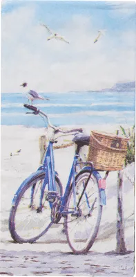 Produktbild von Papiertaschentücher "Fahrrad am Strand"