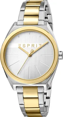 Obrázok produktu pre Dámske hodinky Esprit ES1L056M0075 strieborné