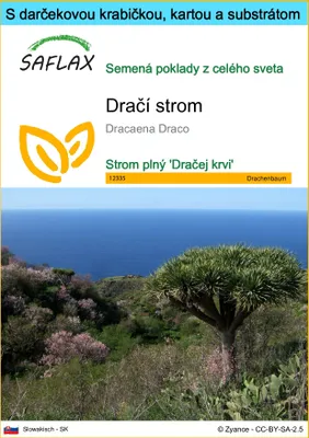 Obrázok produktu pre SAFLAX Darčeková sada - dračí strom - Dracaena Draco - 5 Semená - S darčekovou krabičkou, prepravným štítkom, darčekovou kartou a pestovateľským médiom