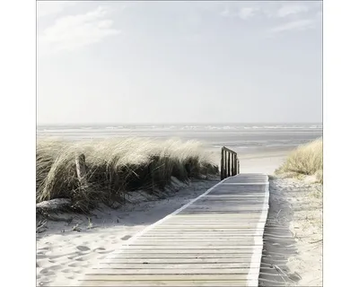Produktbild von Glasbild Seeblick III 20x20 cm