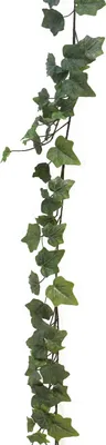 Produktbild von artplants.de Dekogirlande Efeu LANSHUO, grün, 180 cm - Deko Pflanzen Girlande