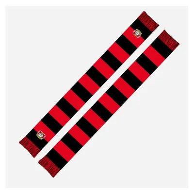 Produktbild von Bayer 04 Leverkusen Schal Blockstreifen Sticklogo