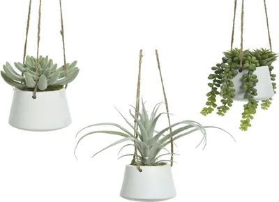 Zdjęcie produktu dla Roślina dekoracyjna 800073 Sukulent 20 cm Do zawieszenia Sztuczna roślina