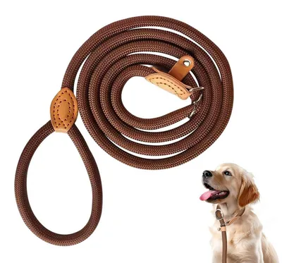 Image de Laisse pour chien avec arrêt de traction, 180 cm, couleur marron café
