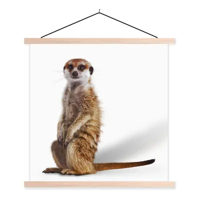 Produktbild von MuchoWow® Textilposter Erdmännchen - Tiere - Fell 40x40 cm mit holzfarbenen Rahmen - Posterleiste