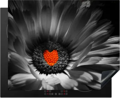 Produktbild von KitchenYeah© Herdabdeckplatte Schwarz-Weiß-Foto einer Ringelblume mit einem roten Herz , 65x52cm, Küche Deko, Glaskeramikkochfeld Herdabdeckung, Abdeckplatte fùr Kochfeld