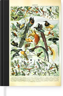 Produktbild von MuchoWow® Notizbuch Tagebuch Haushaltsbuch Notebook A5 Vögel - Natur - Tiere - Notizblock - Notizheft - Notebook - Schreibblock - Papier