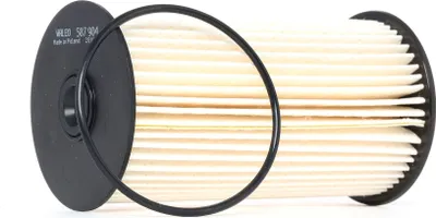 Image de Valeo 587904 Filtre à carburant