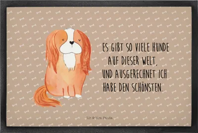Produktbild von Mr. & Mrs. Panda fußmatte Hund Cavalier King Charles Spaniel 40 x 60 cm - Hundeglück - Geschenk, Fußabtreter, Schuhabstreifer, Schönster, Bester, Sprüche, Spruch