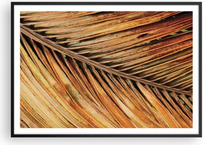 Produktbild von Gerahmtes Poster - Schwarzer Rahmen - Orange Blatt Tropisch - 100x70 cm - Wand Bild - Wanddeko - Wandbilder - Kunstposter - Wandposter - Bilderrahmen - Bilder - Kunstdruck - P2BAA100x70-4876