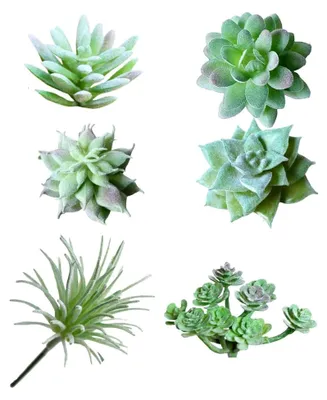 Produktbild von Mini-Sukkulenten, künstliche Sukkulenten, unbepflanzt in grünem Blumenarrangement, 6 Stück