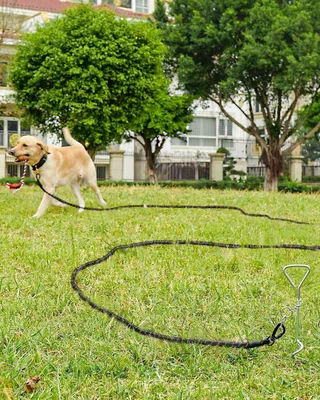 Produktbild von Leine für große Hunde - Starke, reflektierende Hundeleine mit gepolstertem Griff - Erhältlich in 5m, 10m, 15m, 20m