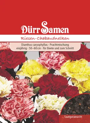 Produktbild von Riesen Chabaudnelke | Chabaudnelkensamen von Dürr Samen