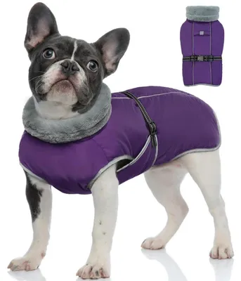 Immagine prodotto di Giacca invernale per cani, impermeabile, riflettente, antivento, regolabile, colore viola, taglia M